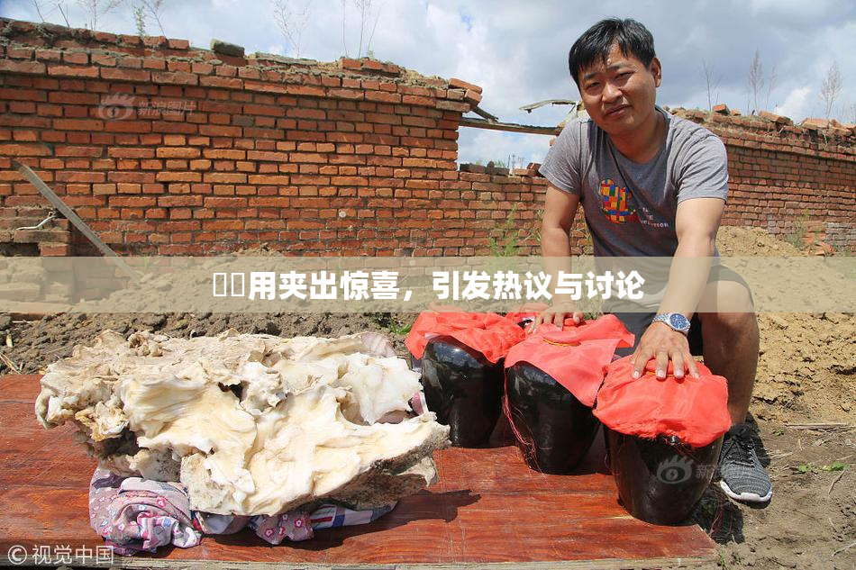 妺妺用夹出惊喜，引发热议与讨论