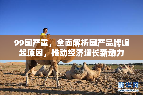 99国产重，全面解析国产品牌崛起原因，推动经济增长新动力