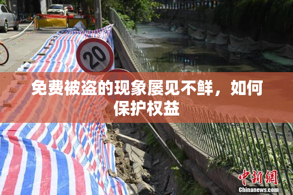 免费被盗的现象屡见不鲜，如何保护权益