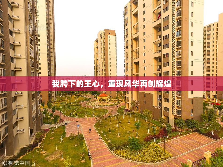 我胯下的王心，重现风华再创辉煌