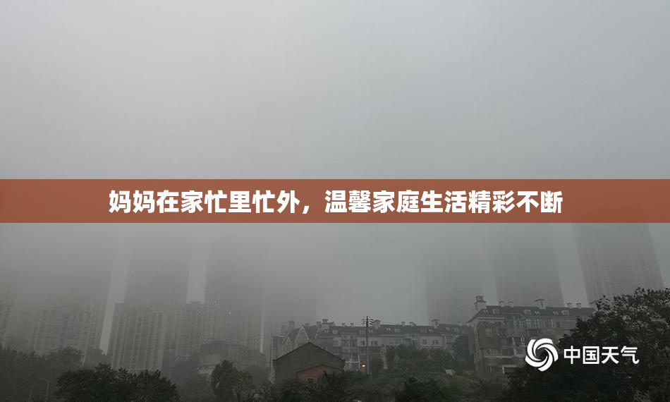 妈妈在家忙里忙外，温馨家庭生活精彩不断