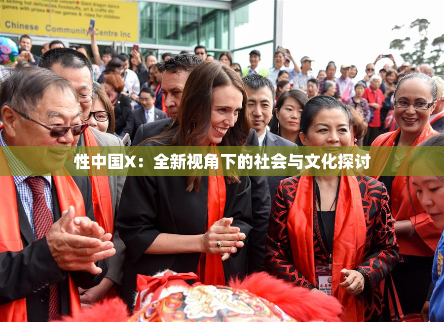 性中国X：全新视角下的社会与文化探讨