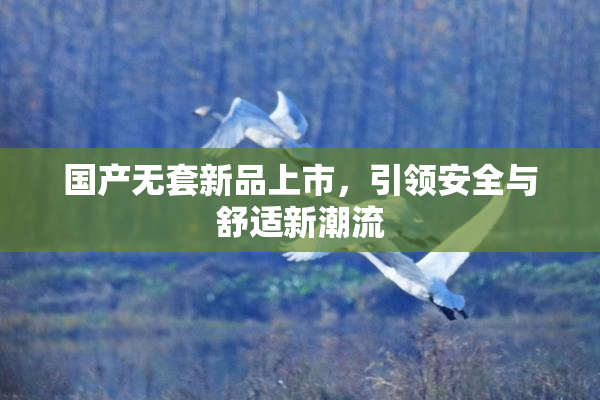 国产无套新品上市，引领安全与舒适新潮流