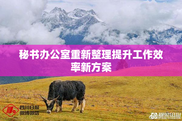 秘书办公室重新整理提升工作效率新方案