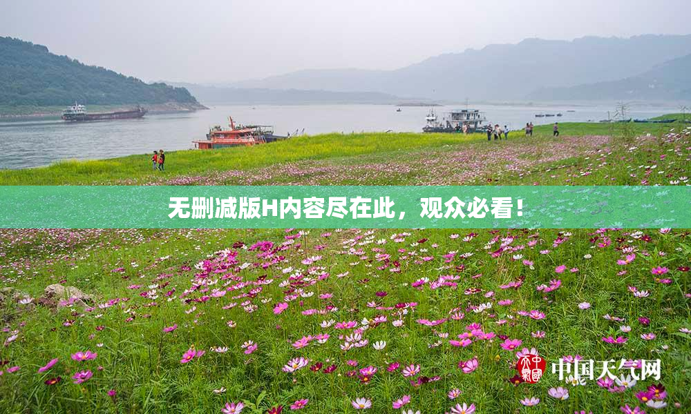 无删减版H内容尽在此，观众必看！