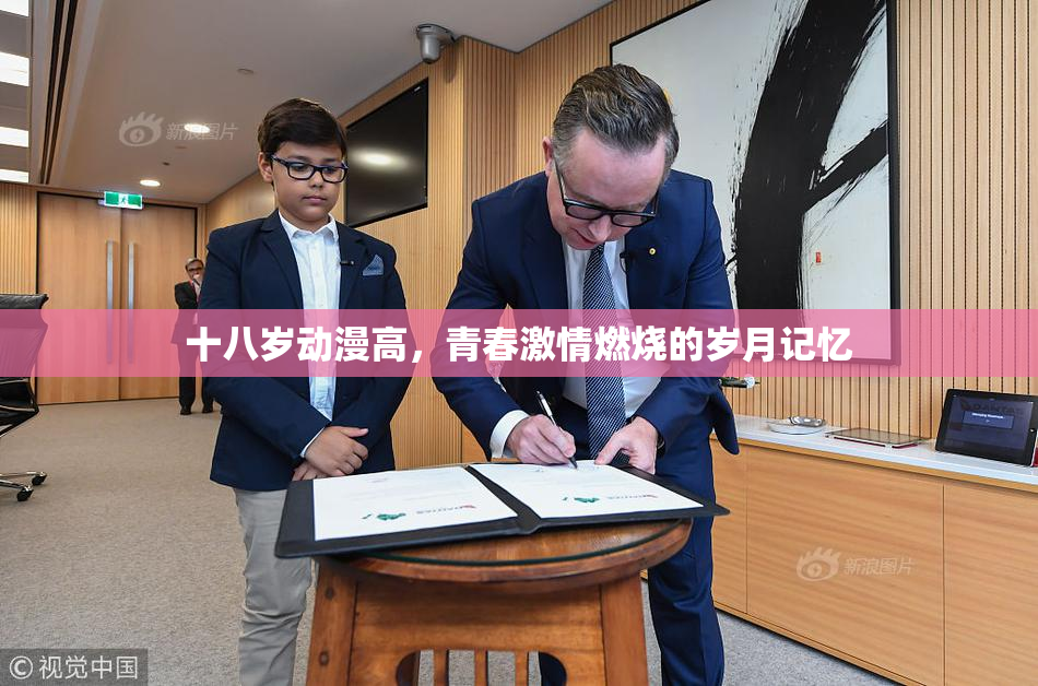 十八岁动漫高，青春激情燃烧的岁月记忆