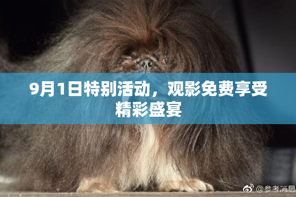 9月1日特别活动，观影免费享受精彩盛宴