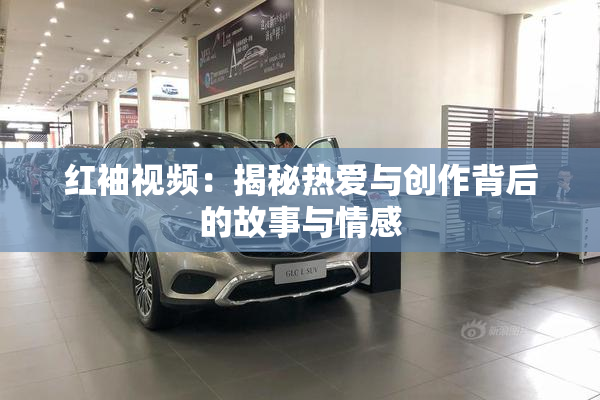 红袖视频：揭秘热爱与创作背后的故事与情感