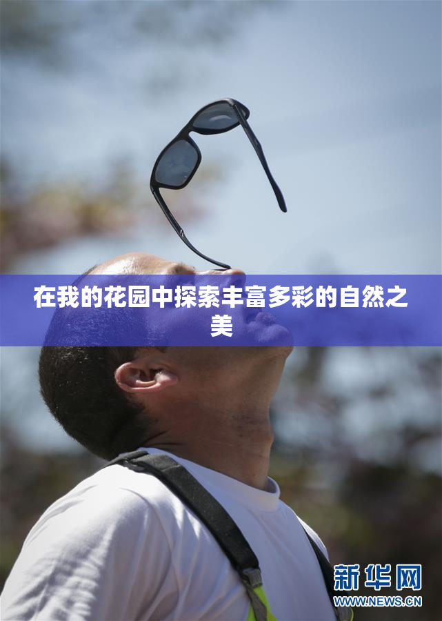 在我的花园中探索丰富多彩的自然之美