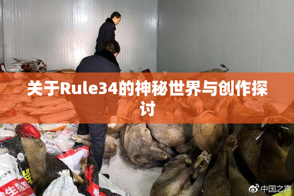 关于Rule34的神秘世界与创作探讨