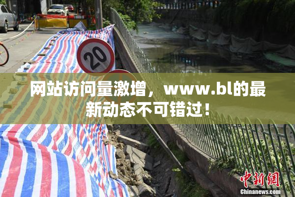 网站访问量激增，www.bl的最新动态不可错过！