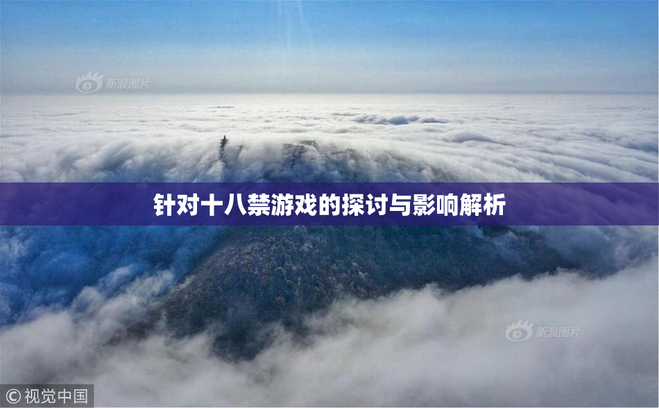 针对十八禁游戏的探讨与影响解析