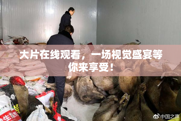 大片在线观看，一场视觉盛宴等你来享受！