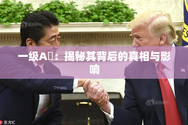 一级A婬：揭秘其背后的真相与影响