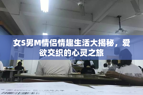 女S男M情侣情趣生活大揭秘，爱欲交织的心灵之旅