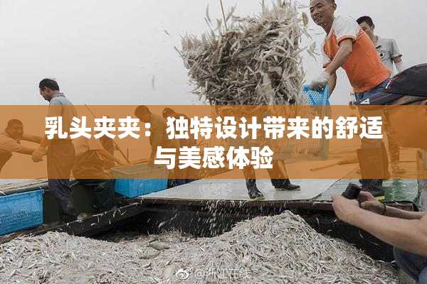 乳头夹夹：独特设计带来的舒适与美感体验