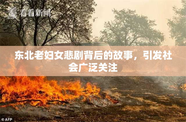 东北老妇女悲剧背后的故事，引发社会广泛关注