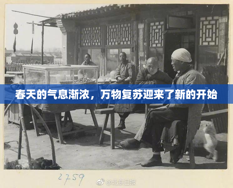 春天的气息渐浓，万物复苏迎来了新的开始