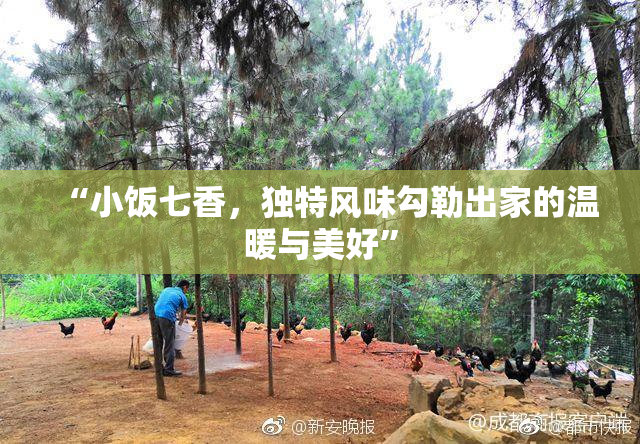 “小饭七香，独特风味勾勒出家的温暖与美好”