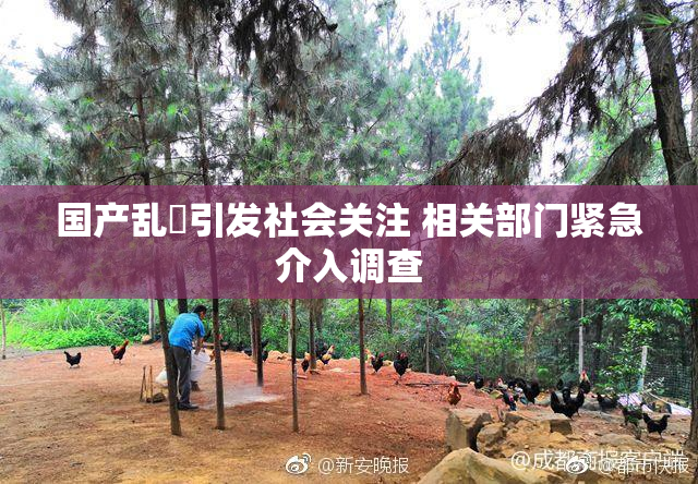 国产乱婬引发社会关注 相关部门紧急介入调查