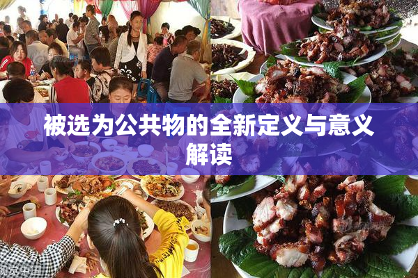被选为公共物的全新定义与意义解读