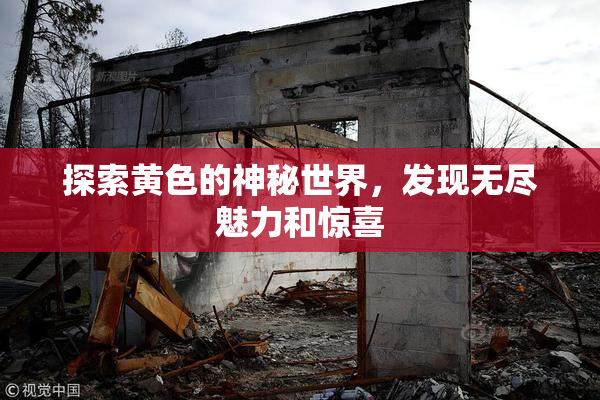 探索黄色的神秘世界，发现无尽魅力和惊喜