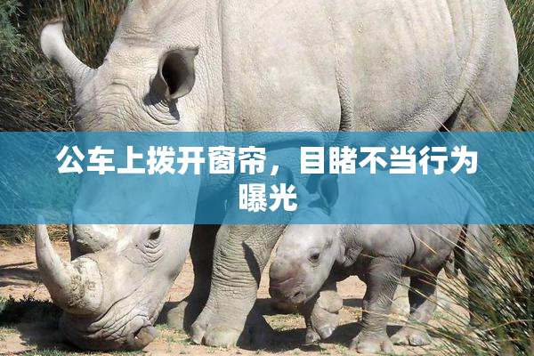 公车上拨开窗帘，目睹不当行为曝光