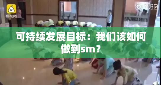 可持续发展目标：我们该如何做到sm？