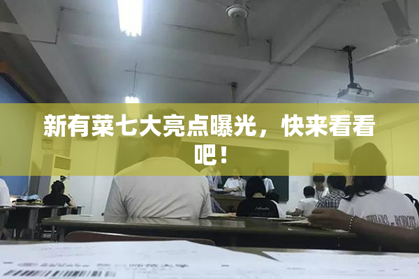 新有菜七大亮点曝光，快来看看吧！