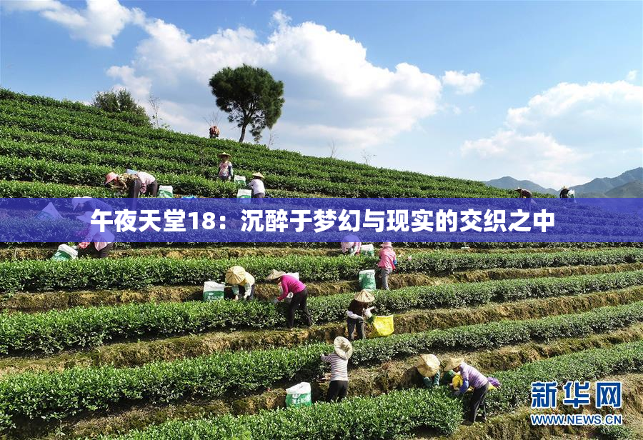 午夜天堂18：沉醉于梦幻与现实的交织之中