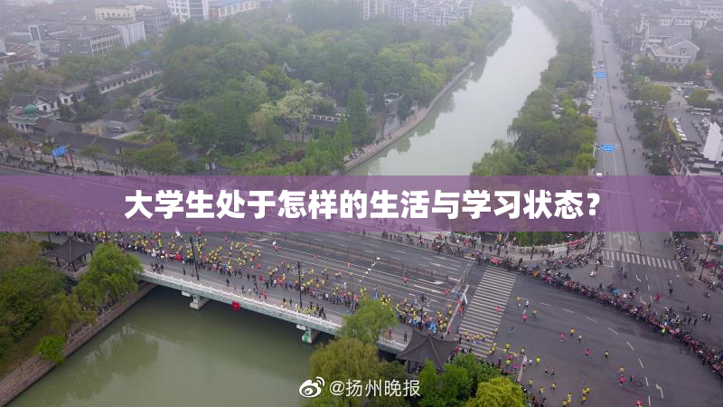 大学生处于怎样的生活与学习状态？