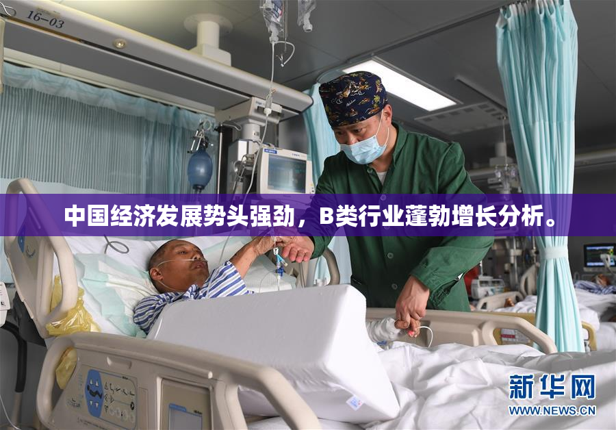 中国经济发展势头强劲，B类行业蓬勃增长分析。