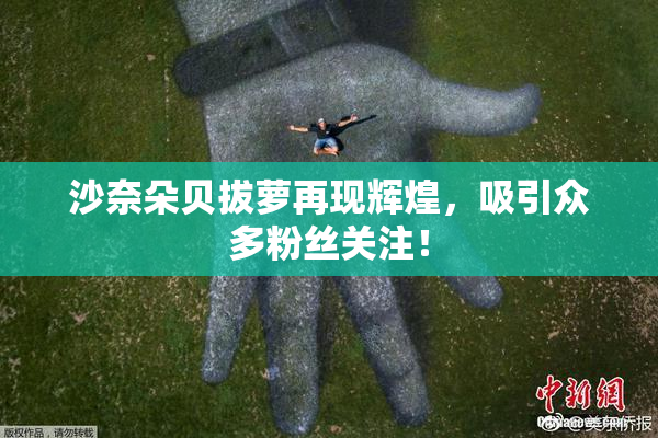 沙奈朵贝拔萝再现辉煌，吸引众多粉丝关注！