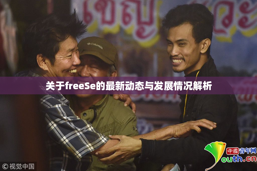 关于freeSe的最新动态与发展情况解析