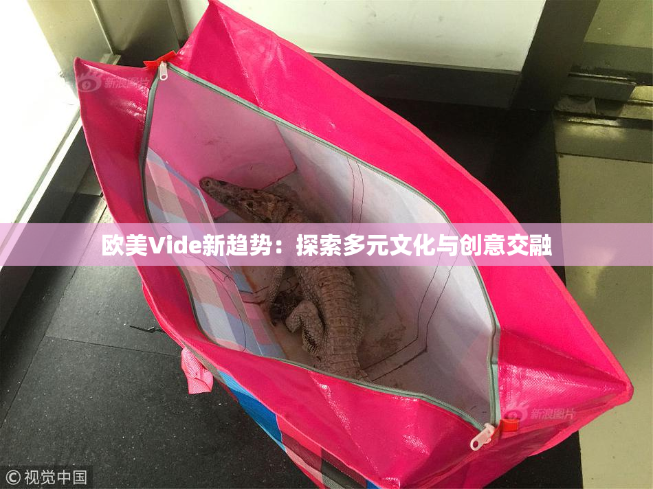 欧美Vide新趋势：探索多元文化与创意交融