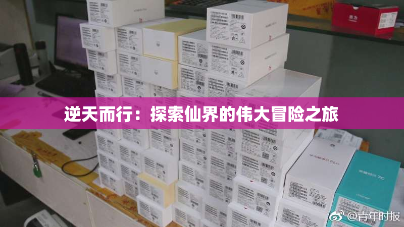逆天而行：探索仙界的伟大冒险之旅