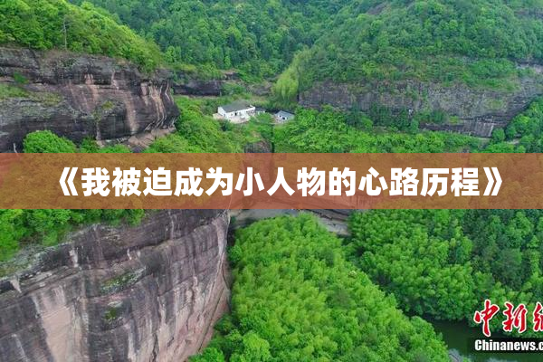 《我被迫成为小人物的心路历程》