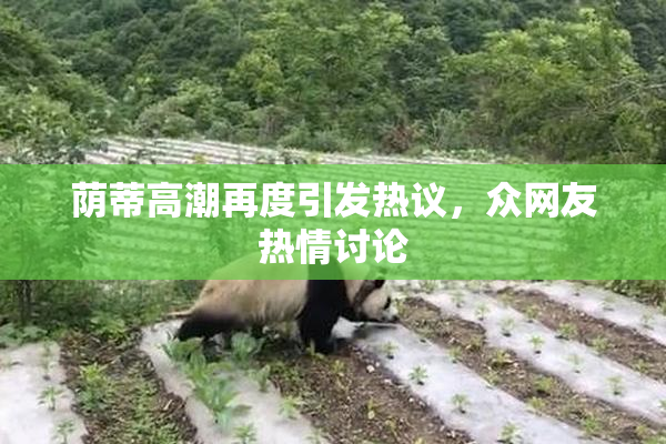 荫蒂高潮再度引发热议，众网友热情讨论