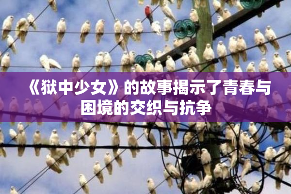 《狱中少女》的故事揭示了青春与困境的交织与抗争