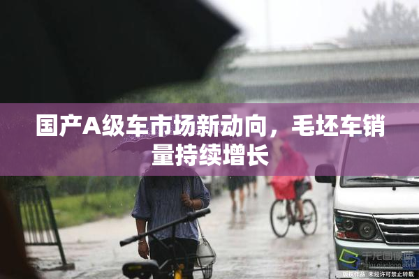 国产A级车市场新动向，毛坯车销量持续增长