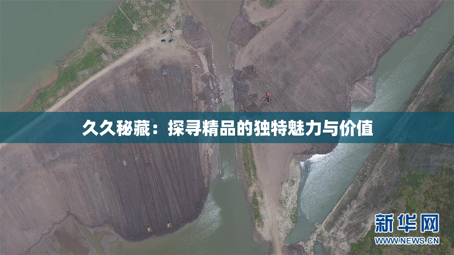 久久秘藏：探寻精品的独特魅力与价值