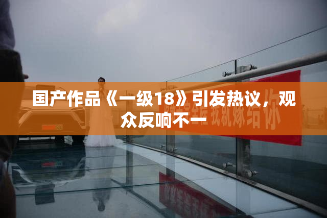 国产作品《一级18》引发热议，观众反响不一