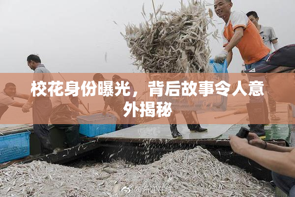 校花身份曝光，背后故事令人意外揭秘