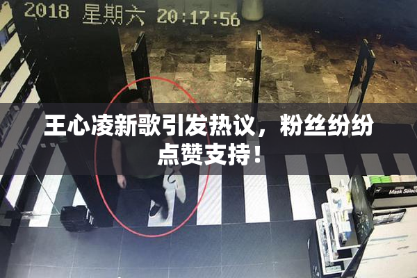 王心凌新歌引发热议，粉丝纷纷点赞支持！