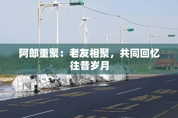 阿郎重聚：老友相聚，共同回忆往昔岁月