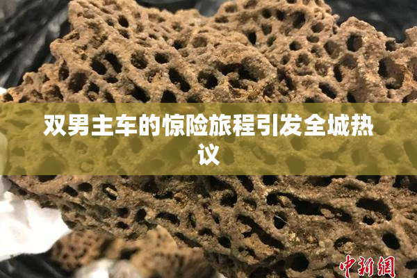 双男主车的惊险旅程引发全城热议