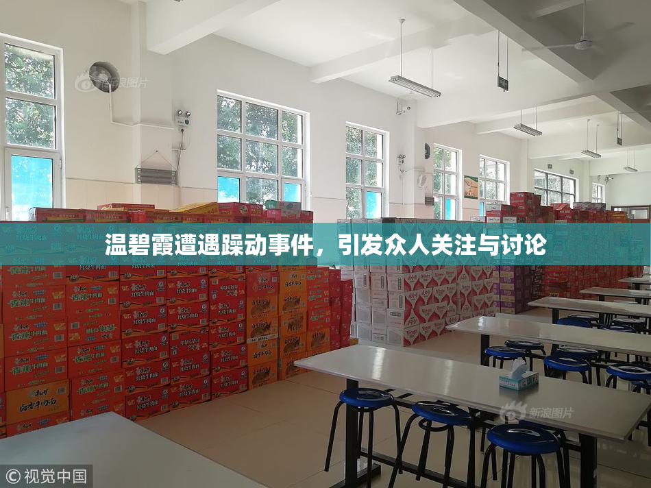 温碧霞遭遇躁动事件，引发众人关注与讨论