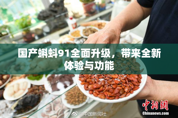 国产蝌蚪91全面升级，带来全新体验与功能