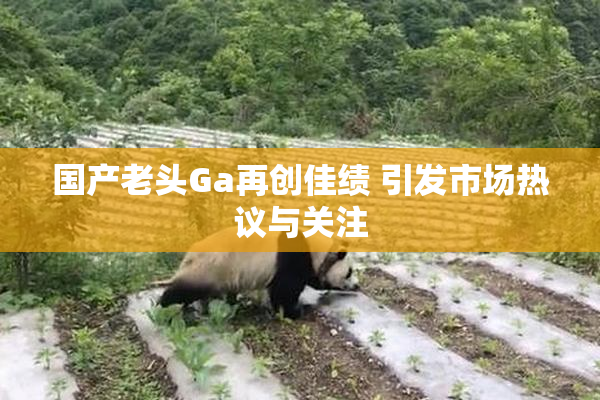 国产老头Ga再创佳绩 引发市场热议与关注