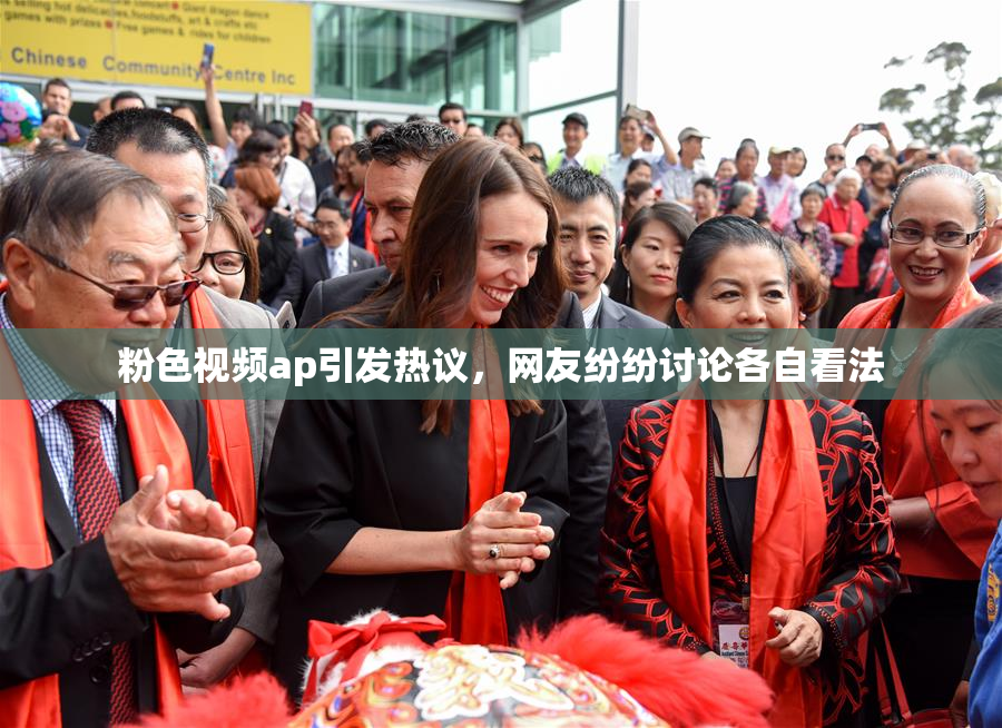 粉色视频ap引发热议，网友纷纷讨论各自看法